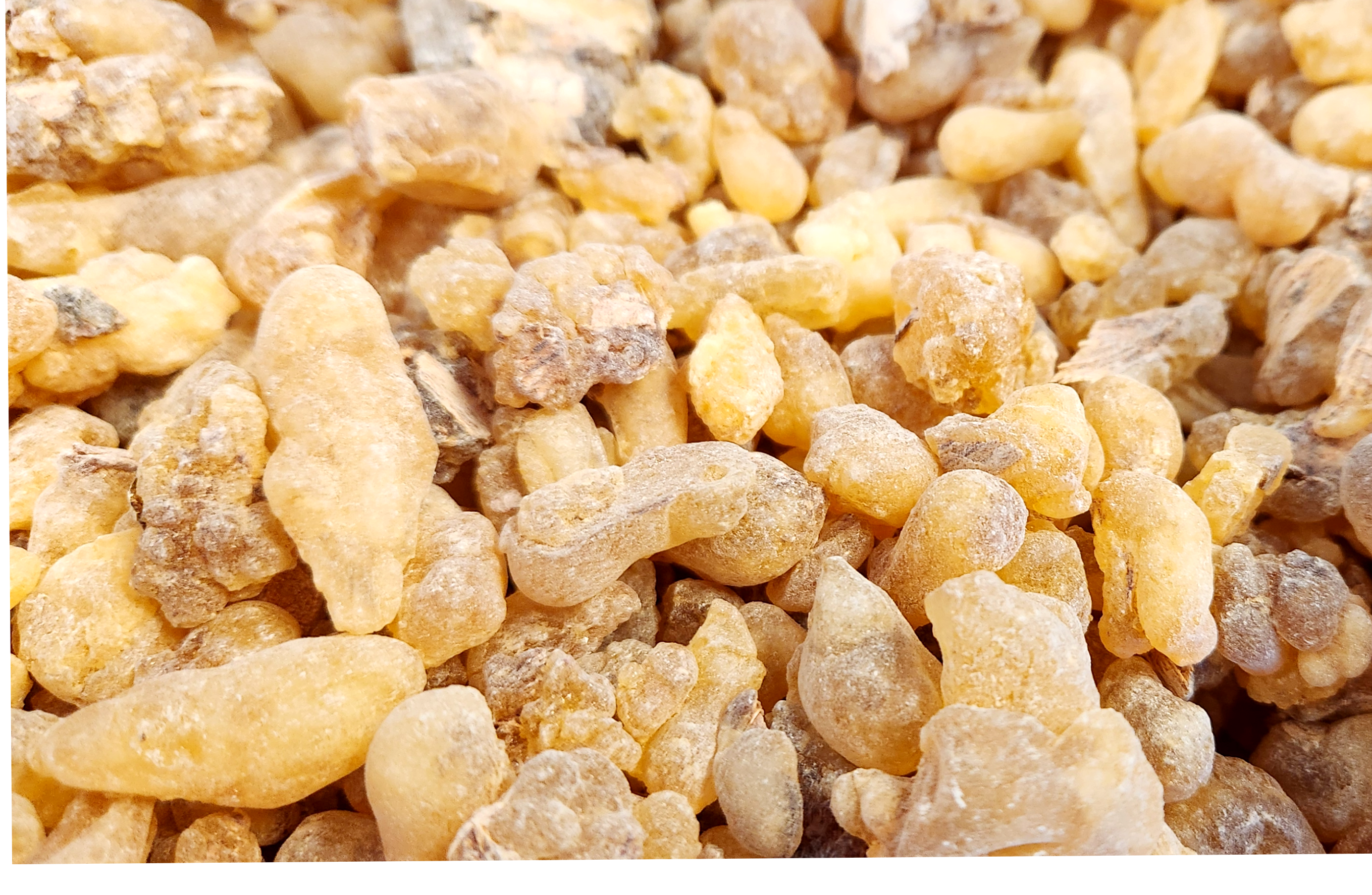Boswellia Dalzielii "Janawhi" Frankincense