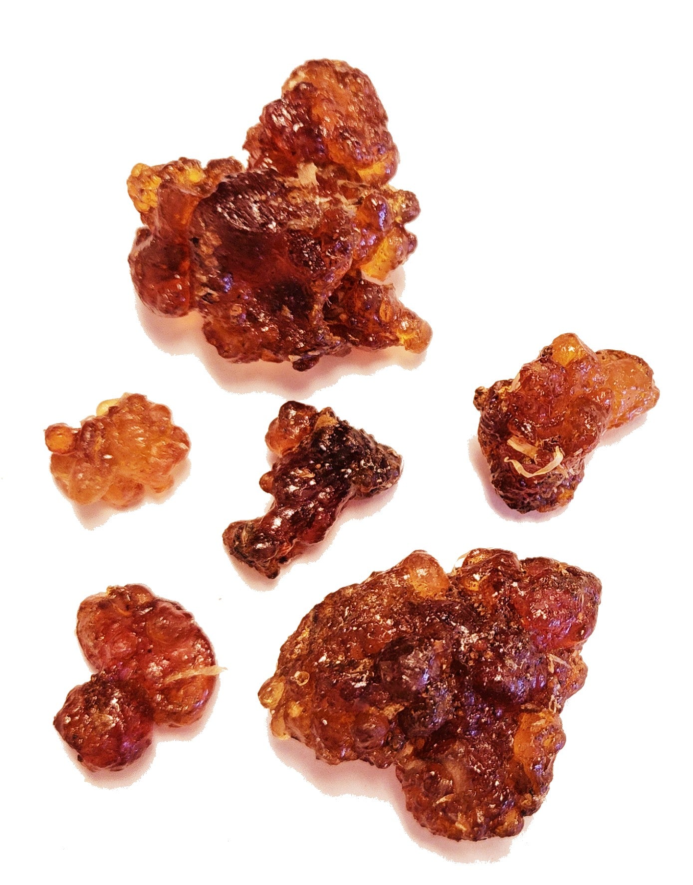 Commiphora Kua Myrrh (Rare) - Imported from the Island of Socotra