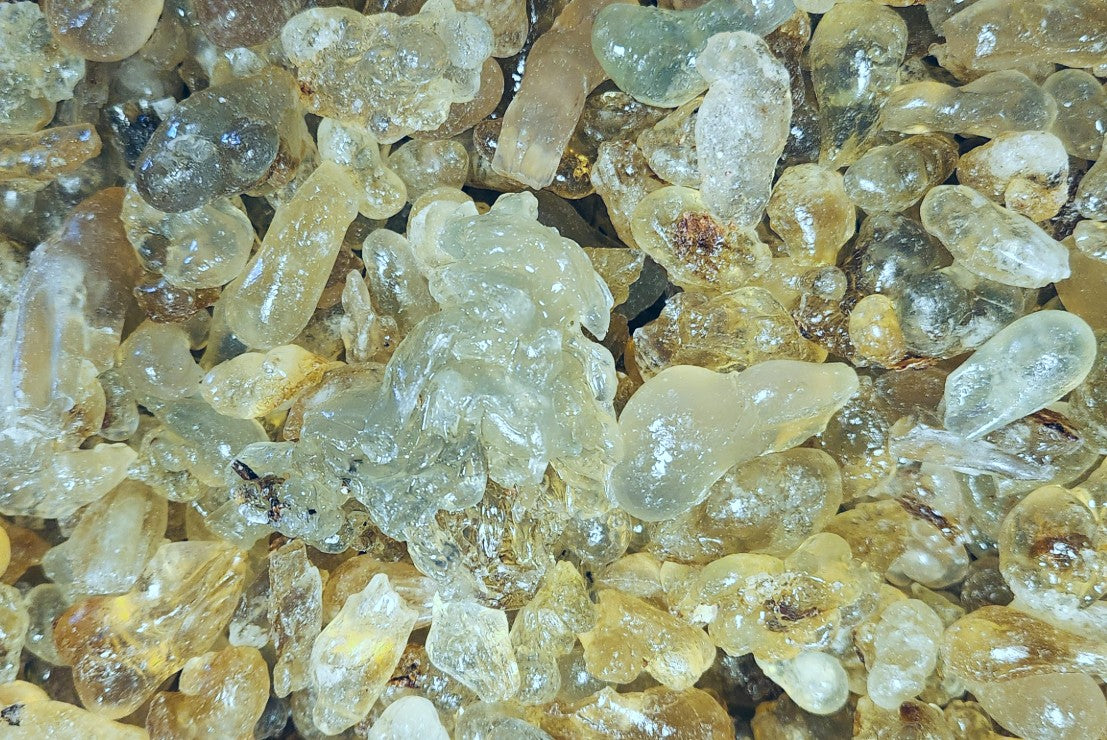 Sultan's Royal Green Hojari Frankincense (Boswellia Sacra)
