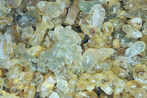 Sultan's Royal Green Hojari Frankincense (Boswellia Sacra)