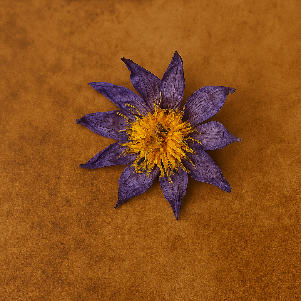 Blue Lotus Lily. Petals and Stamen Tea, Whole Flower, or Cigarette