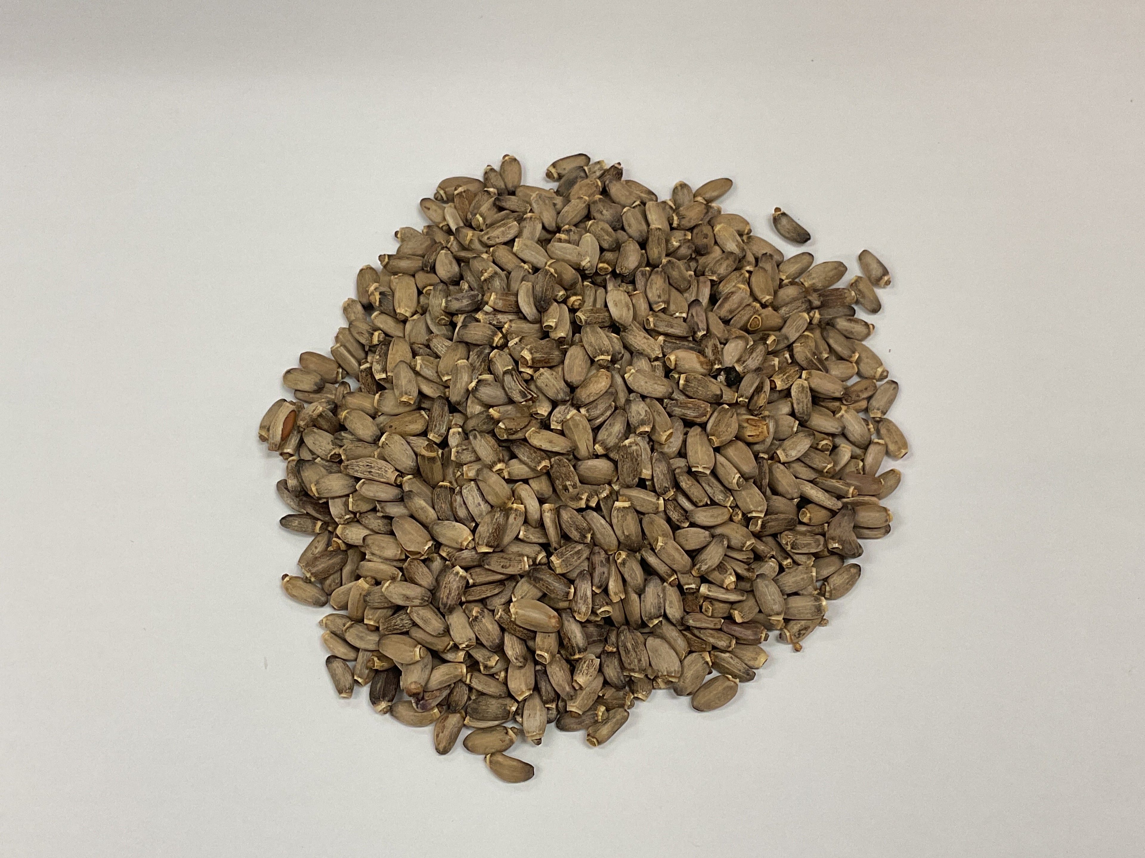 Milk thistle seed, 100% USDA Organic, 2 Ounces