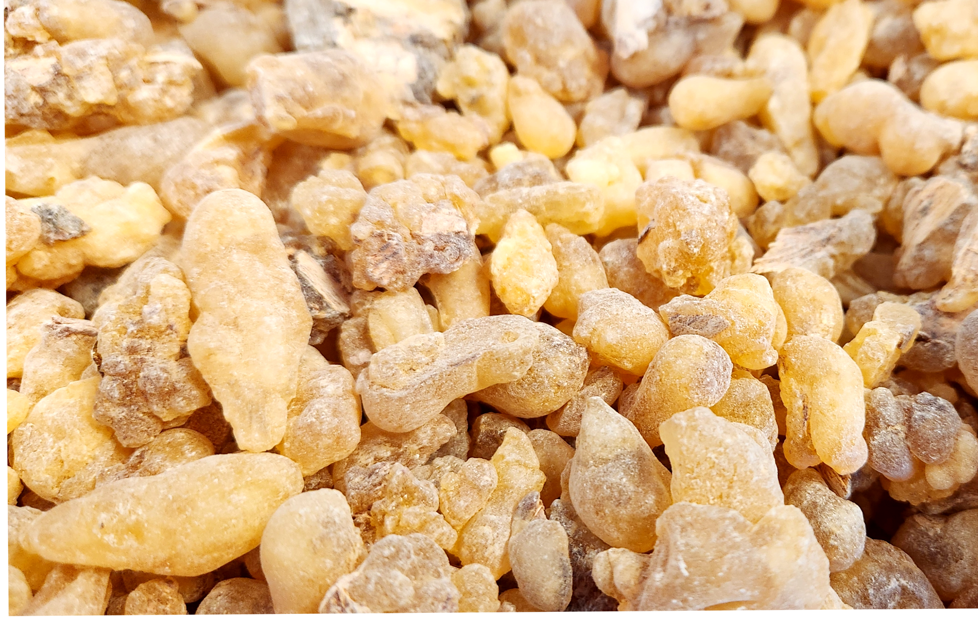 Boswellia Dalzielii "Janawhi" Frankincense