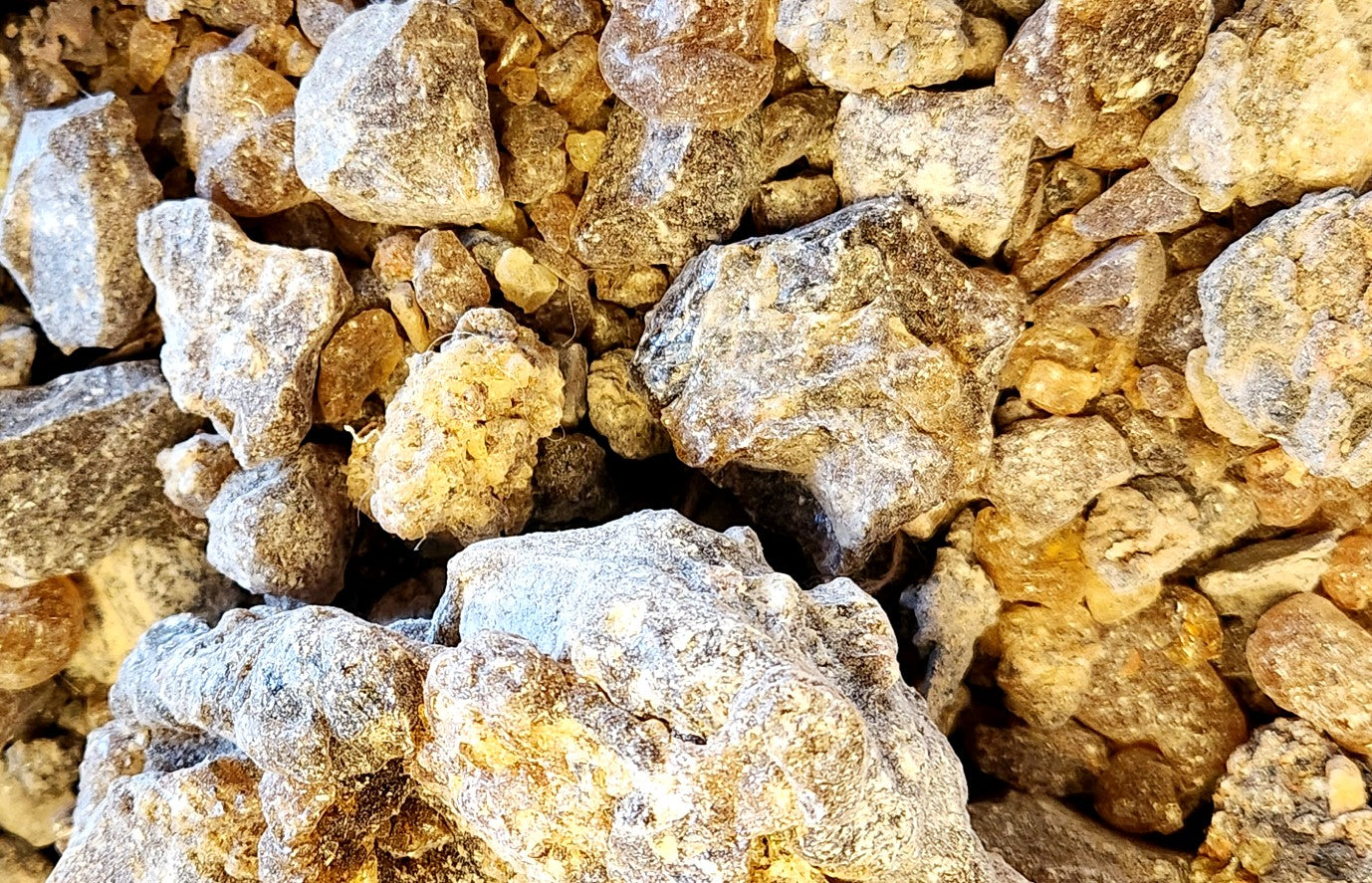 Boswellia Elongata Frankincense (VERY RARE!)  - Imported from the Island of Socotra.