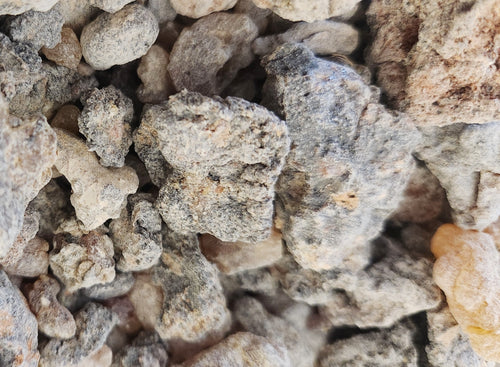 "Ogaden" Boswellia Rivae Frankincense