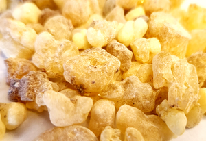 Boswellia Papyrifera "Tigray" Frankincense