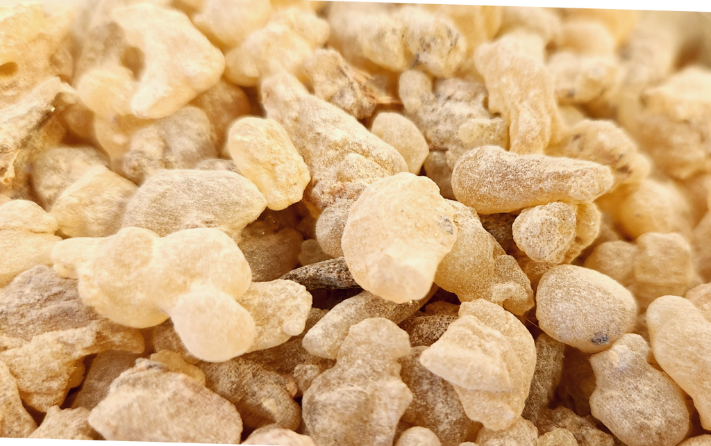 Salai Guggul (Boswellia Serrata) Frankincense