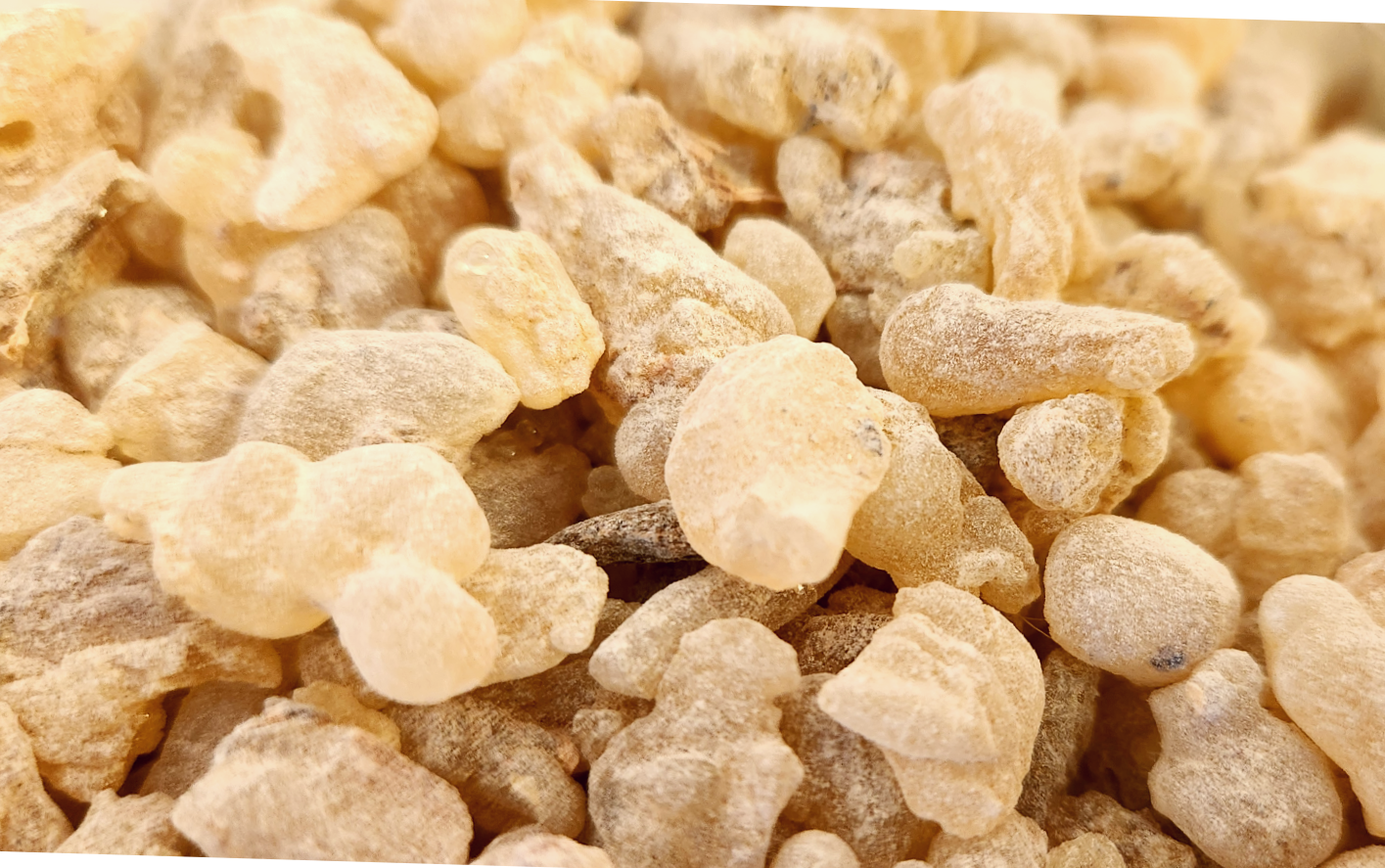Salai Guggul (Boswellia Serrata) Frankincense