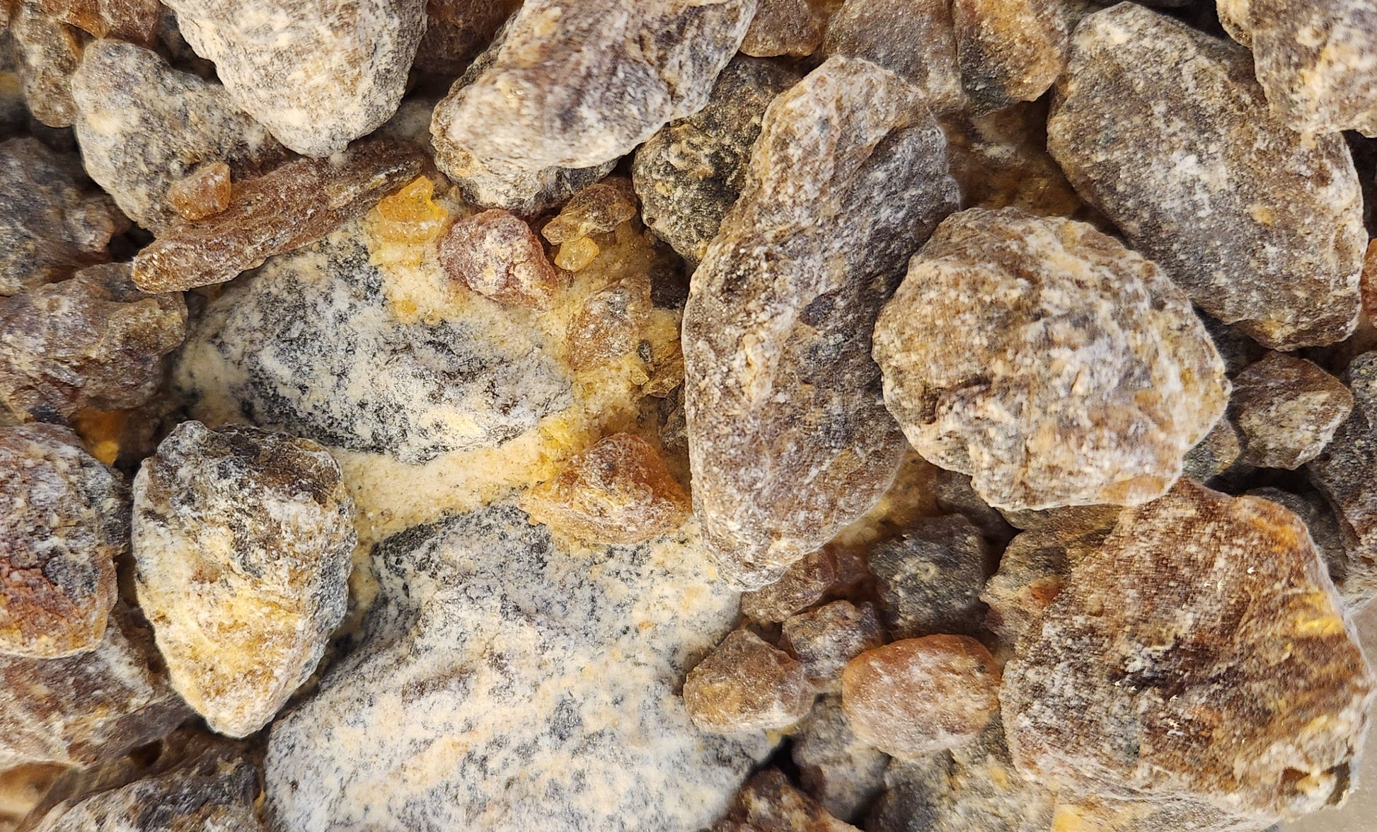Commiphora Wildii Myrrh "Omumbiri"